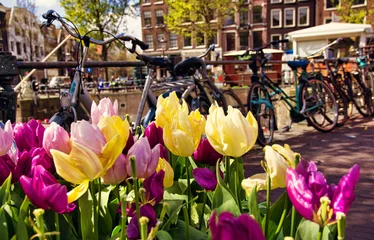 Verduisterende gordijnen A close up color image of tulips in full bloom in the city of Amsterdam with bicycles parked over a canal bridge in the background. A beautiful spring day in the Netherlands. © mike