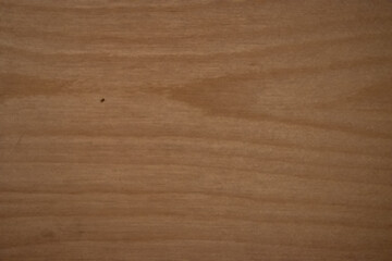 wood texture background