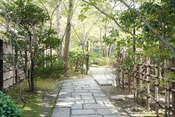 Stone pavement toward Rakusuien Japanese Garden in Fukuoka prefecture, Japan - 楽水園 日本庭園 福岡 日本　