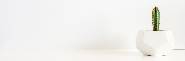 A desk against a white wall. Copy space. Cactus in a geometric pot. Minimal composition. Banner. Panorama