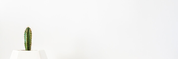 A desk against a white wall. Copy space. Cactus in a white pot. Minimal composition. White on white banner. Panorama