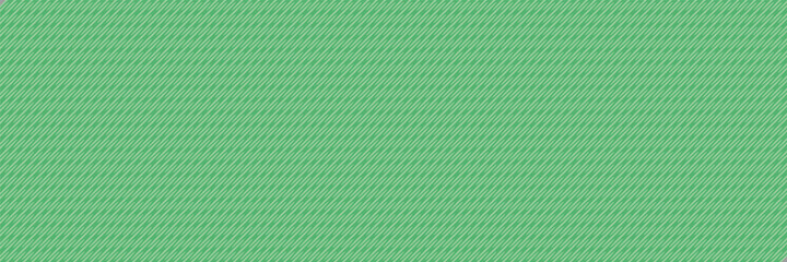 texture of green lines background	
