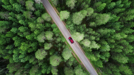 Aerial view of green forest and red car on the road. Bird's eye. Travel concept. - 407925116