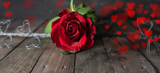 Red Roses with blurred floating hearts on dark vintage background. Romantic concept with short depth of field for valentines day and mothers day. Space for text.