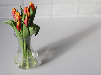 Glass vase with fresh colourful tulips on white table
