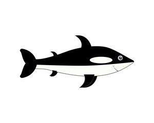Baby orca. Cartoon character. Vector illustration on white background. Side view.
