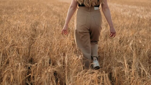Beautiful girl walking in wheat field in summer. Attractive young woman touching grain and turning to warm sunlight in nature. Natural healthy summertime lifestyle. freedom concept.