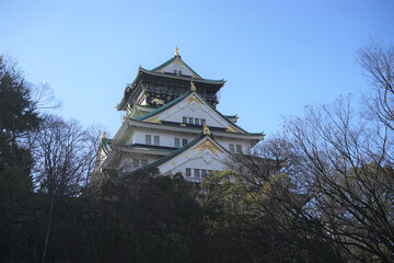 Fototapeta premium Osaka castle or Osakajyo in Osaka Prefecture, Japan, winter season - 大阪城 大阪 日本 冬 