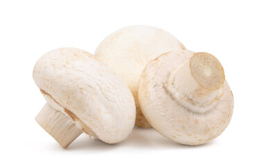 fresh group of mushroom isolated on white background