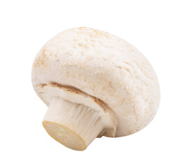 One fresh tasty mushroom isolated on white background
