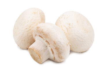 Fototapeta na wymiar fresh group of mushroom isolated on white background