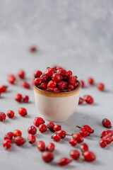 Medicinal plants and herbs. Rose hips berries on concrete background with copy space. Dried fruits for herbal teas and essential oils. Selective focus. Vertical orientation.