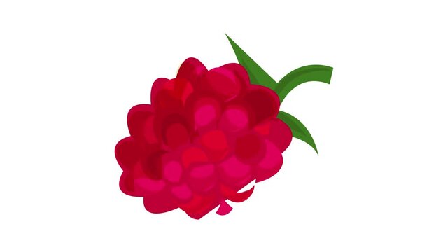 Raspberry icon animation best object on white background