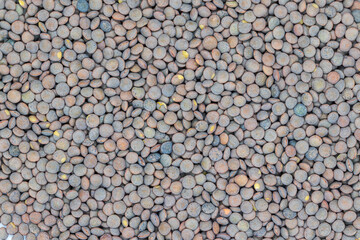 Dry brown lentils for food texture