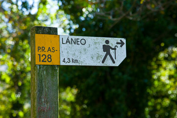 Río Narcea,,tramo medio alrededor de Oviñana, Asturias
