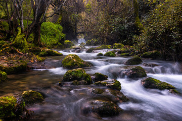 rio entre bosque y montaña con cascadas 