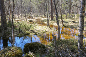 Spring flood