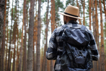 Fototapeta na wymiar Young Man in a hat with a backpack in a pine forest. Hike in the mountains or forest