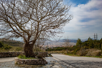 View of Athens city in Greece