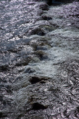 Río Narcea,,tramo medio alrededor de Cornellana, Asturias