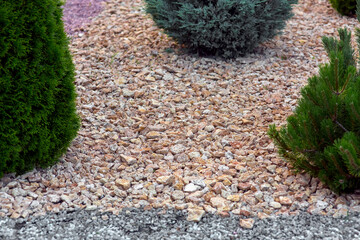 Landscape design with yellow and gray stone mulch way of a garden with growth cypress bushes on a spring park closeup details, nobody.