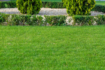 park landscape with green lawn and flower bed mulched by natural stone with growth bushes, landscaped garden spring background with copy space, nobody.