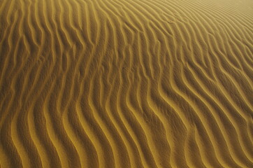 Fototapeta na wymiar sand ripples in the imperial desert