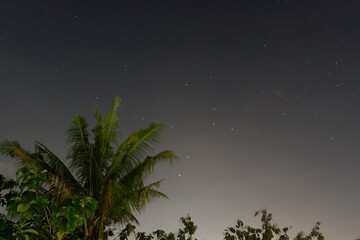 Fototapeta na wymiar night sky with stars [starry night]