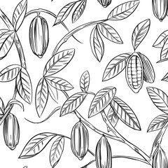 Cocoa plant seamless pattern. Cacao bean. Vector illustration