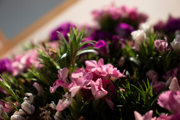 The beautiful lily flower was taken with macro photography technique as a close-up. sweet william...