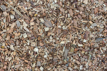 Texture of wooden sawdust of large fraction. A bunch of wood chip. Sawdust or wood dust texture background. Natural floor sensory path, barefoot on sawdust. 