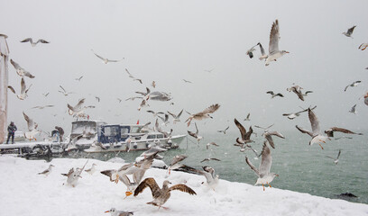 Snowy day in Istanbul, Turkey.