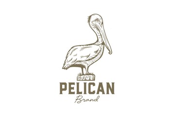 Hand Drawn Pelican Logo Template