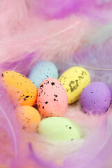 Colorful Easter Eggs with pastel colored feathers in the background,, Easter,Spring,Religion concept for Greeting card or Background design. soft bright colors