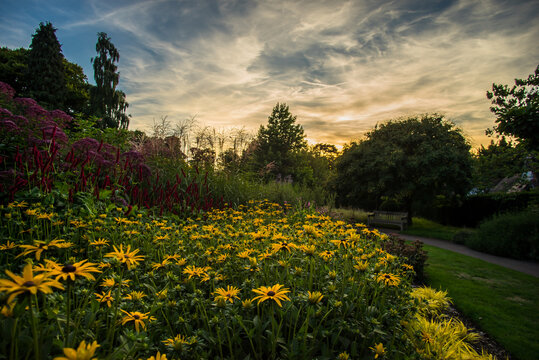 Sunset Over Coombe Park, Croydon, UK