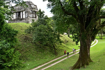 Fototapeta premium Paisajes y localizaciones de las ruinas mayas de Palenque, en el estado de Chiapas, en el sureste de Mejico