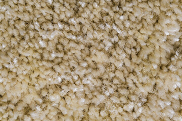 Beige frieze material for carpeting close-up