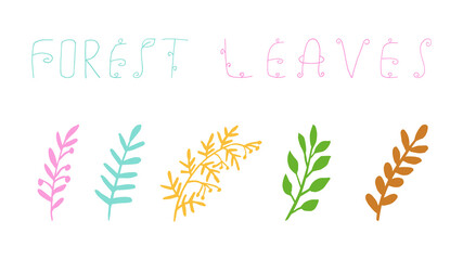 Forest leaf hand drawn vector. Set leaves. autumnal garden leaf Isolated on white background. Botanical forest plants or september october tree foliage
