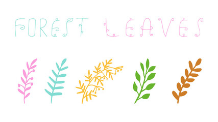 Obraz premium Forest leaf hand drawn vector. Set leaves. autumnal garden leaf Isolated on white background. Botanical forest plants or september october tree foliage