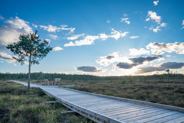 Sun casting low light during calm Sunset in summer over Wooden footpath