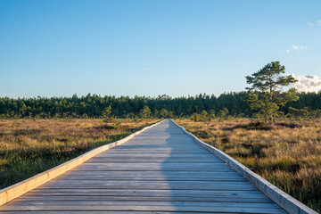 Obraz premium Sun casting low light during calm Sunset in summer over Wooden footpath