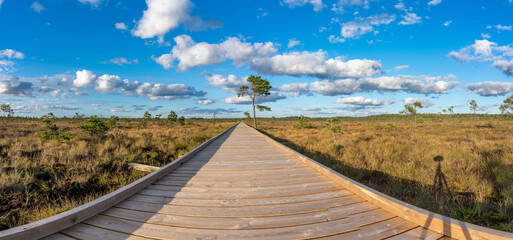 Sun casting low light during calm Sunset in summer over Wooden footpath