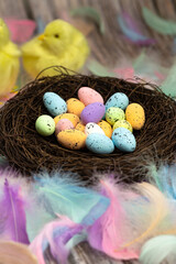 Easter eggs in a bird's nest pastel colores, Easter, spring, Nature concept background on the background yellow chicks