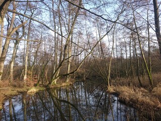 Obraz premium Hellbach im Hellbachtal