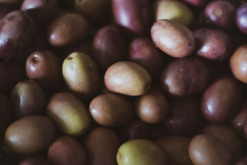Some typical Italian gastronomic products