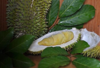 fresh split durian fruit with green leaves
