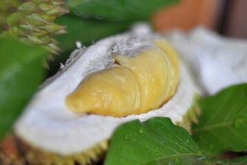 fresh split durian fruit with green leaves