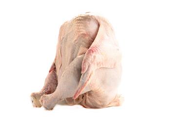 Fresh raw chicken on a white background. Close up.