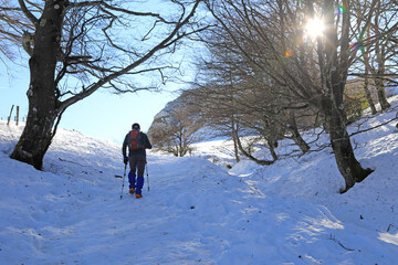 senderista montañero con bastones  y grampones en la nieve bosque país vasco 4M0A8029-as21