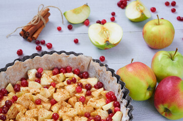 Close up view on apple pie in the
baking dish decorated with fresh apples, cranberry, spices, cinnamon sticks on the gray kitchen background. Autumn tart with raw ingredients